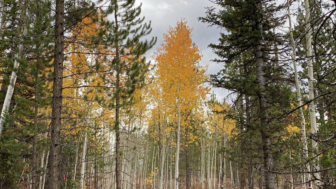 Photo of Outdoor in Riverside