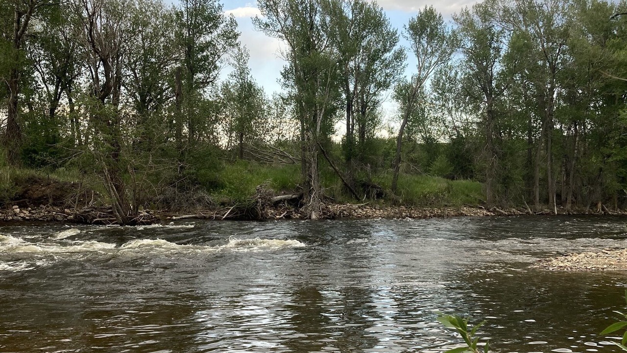 Photo of Others in Riverside