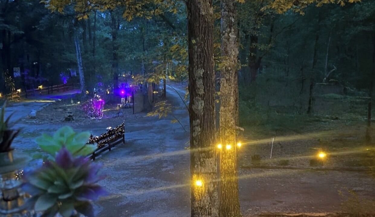 Photo of Outdoor in Hopkins