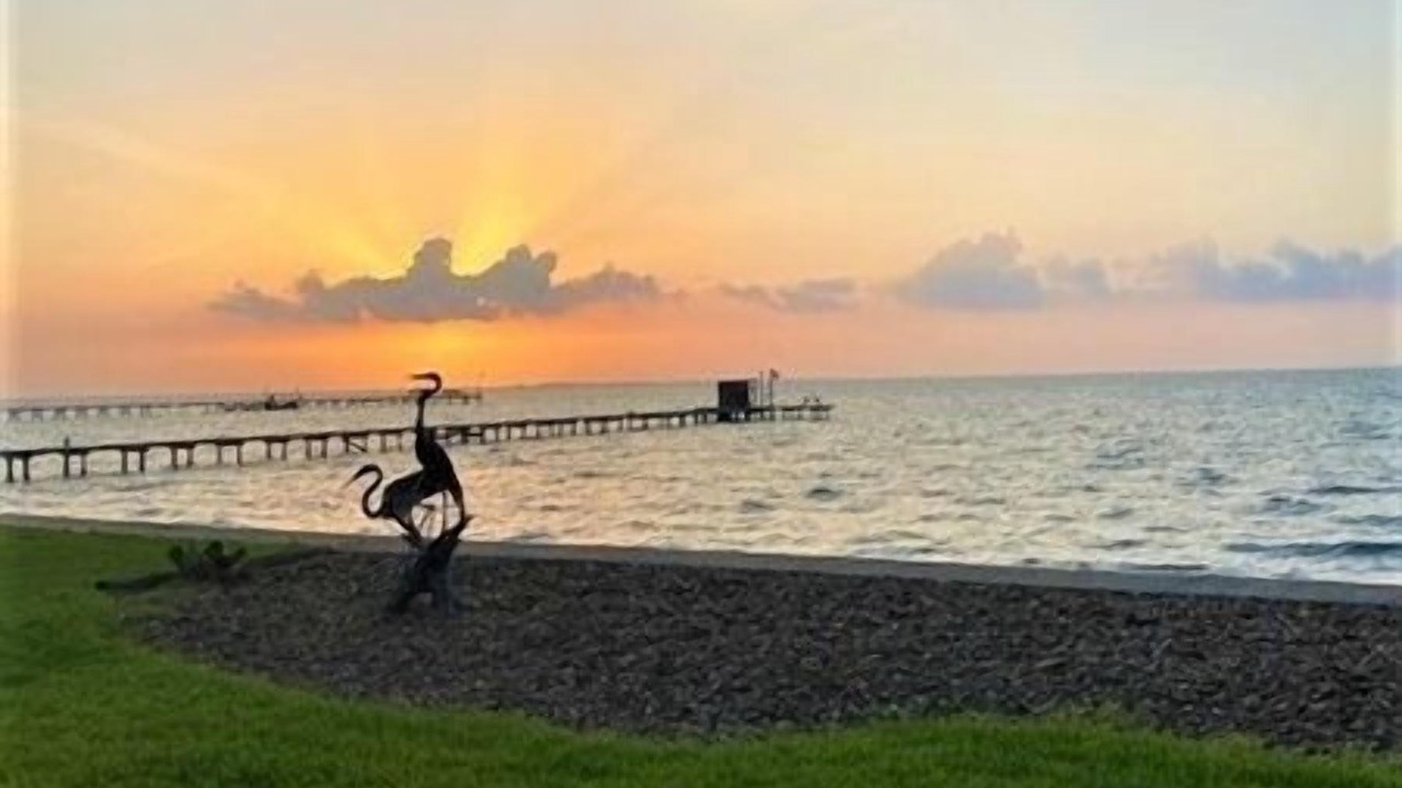 Photo of Others in Port Mansfield