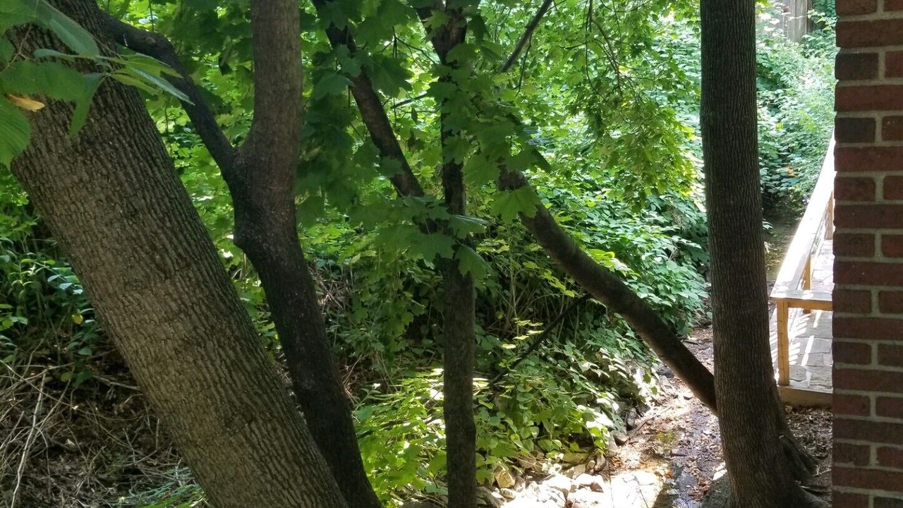 Photo of Outdoor in Painesville