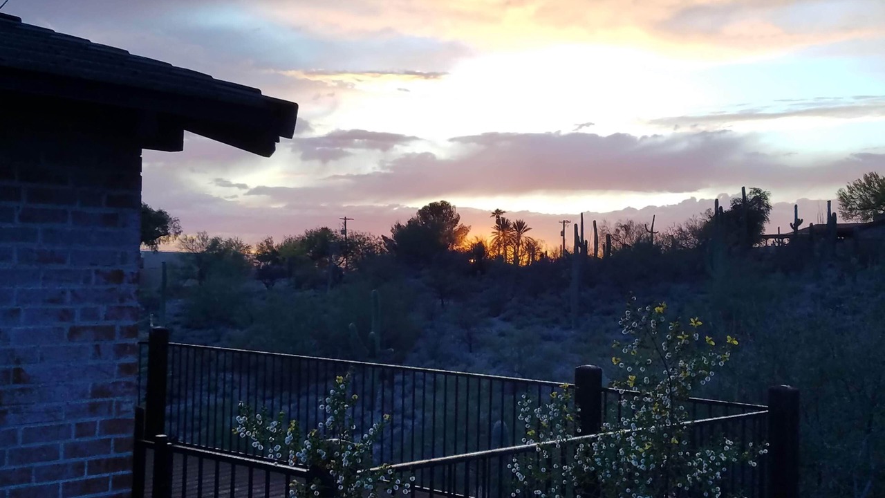 Photo of Others in Catalina Foothills Estates
