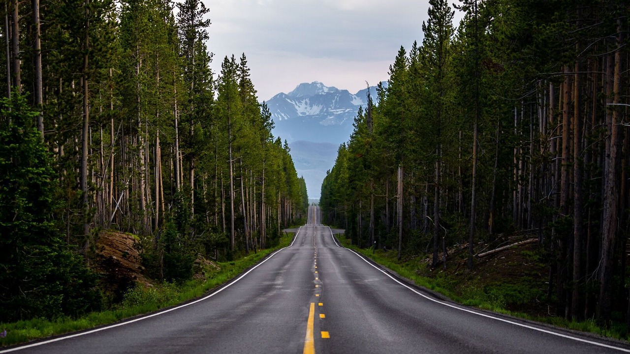 Photo of Others in West Yellowstone