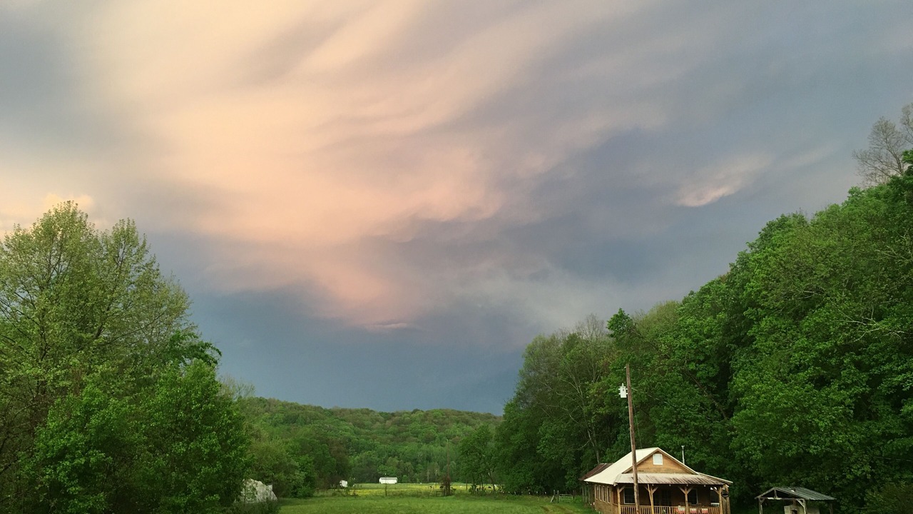 Photo of Outdoor in Olivehill