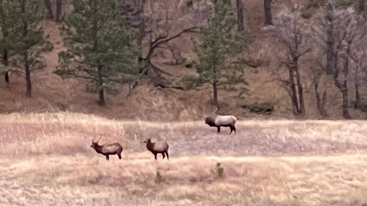 Photo of Outdoor in Crook County