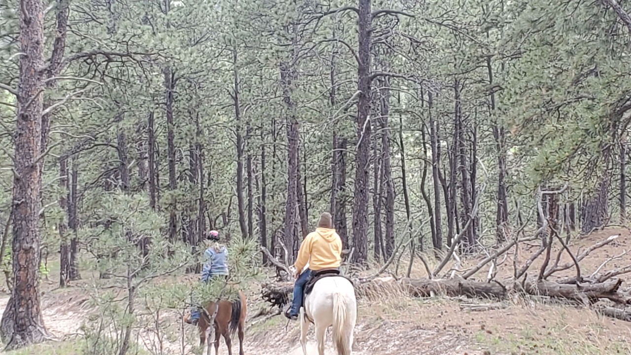 Photo of Outdoor in Crook County