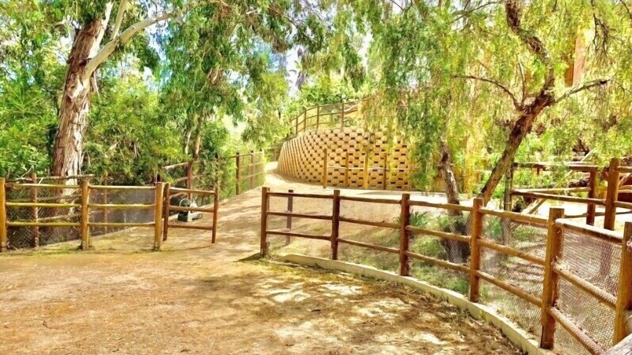 Photo of Outdoor in Covenant