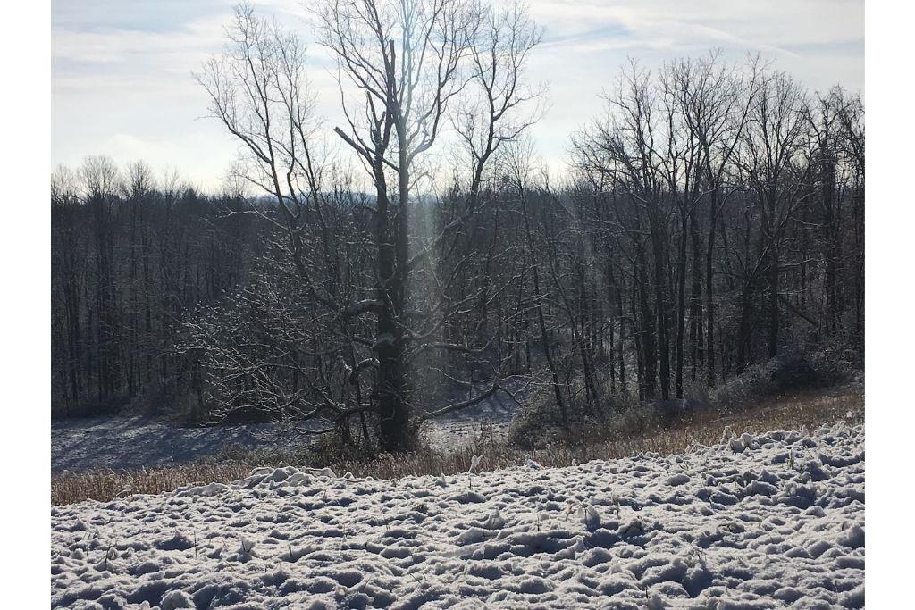 Photo of Others in McConnelsville