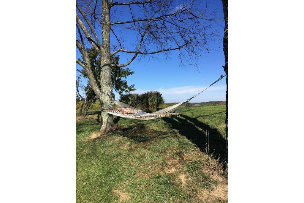 Photo of Outdoor in McConnelsville