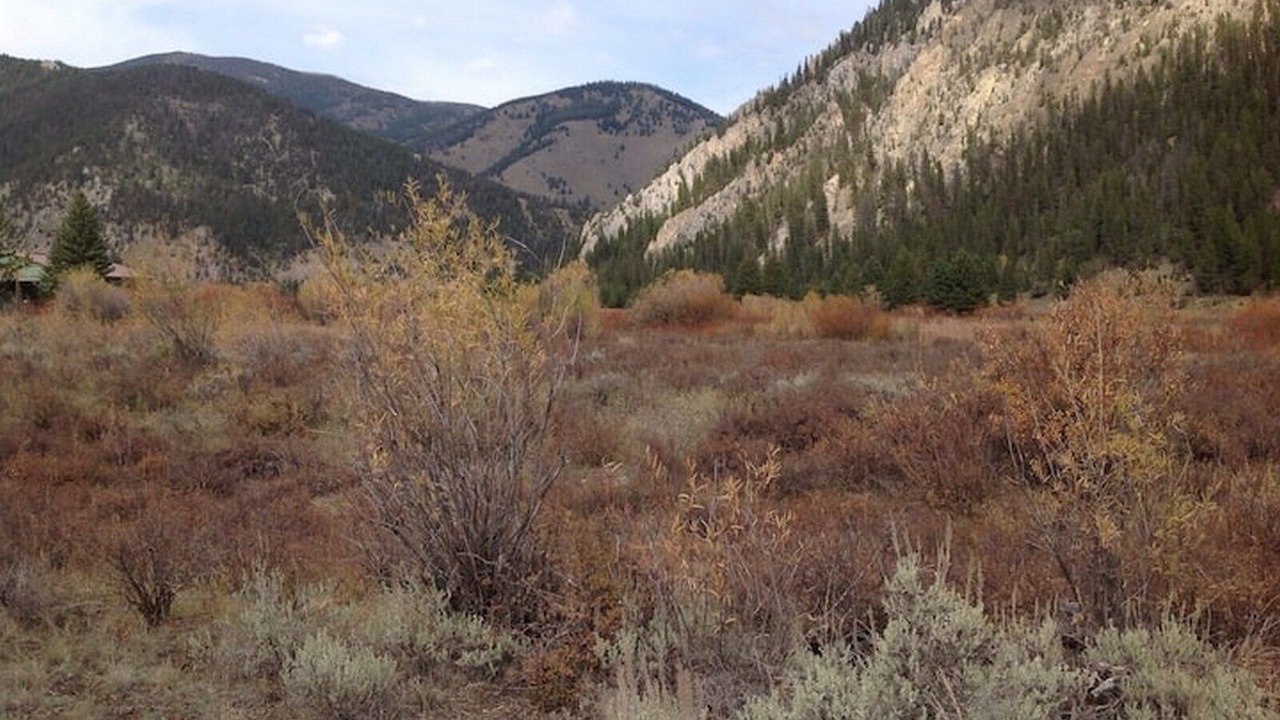 Photo of Outdoor in Porcupine Park