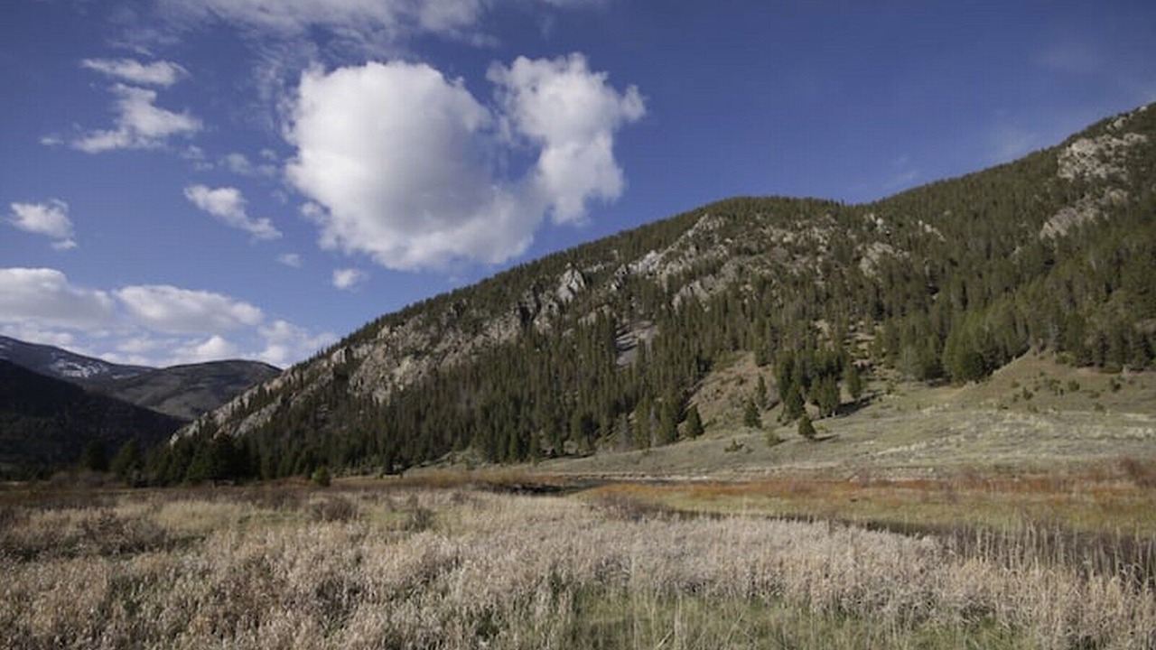 Photo of Others in Porcupine Park