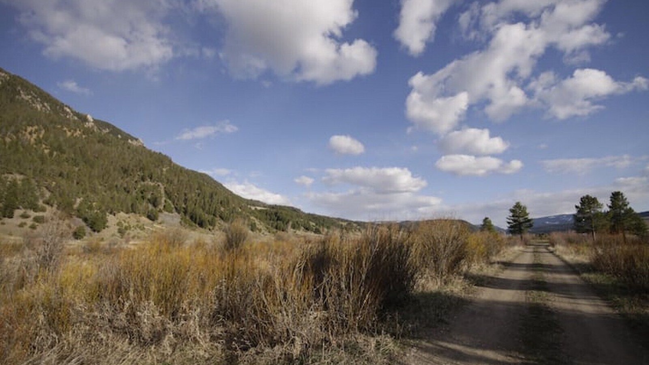 Photo of Others in Porcupine Park