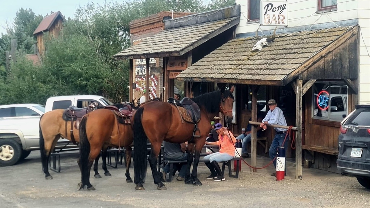 Photo of Others in Pony
