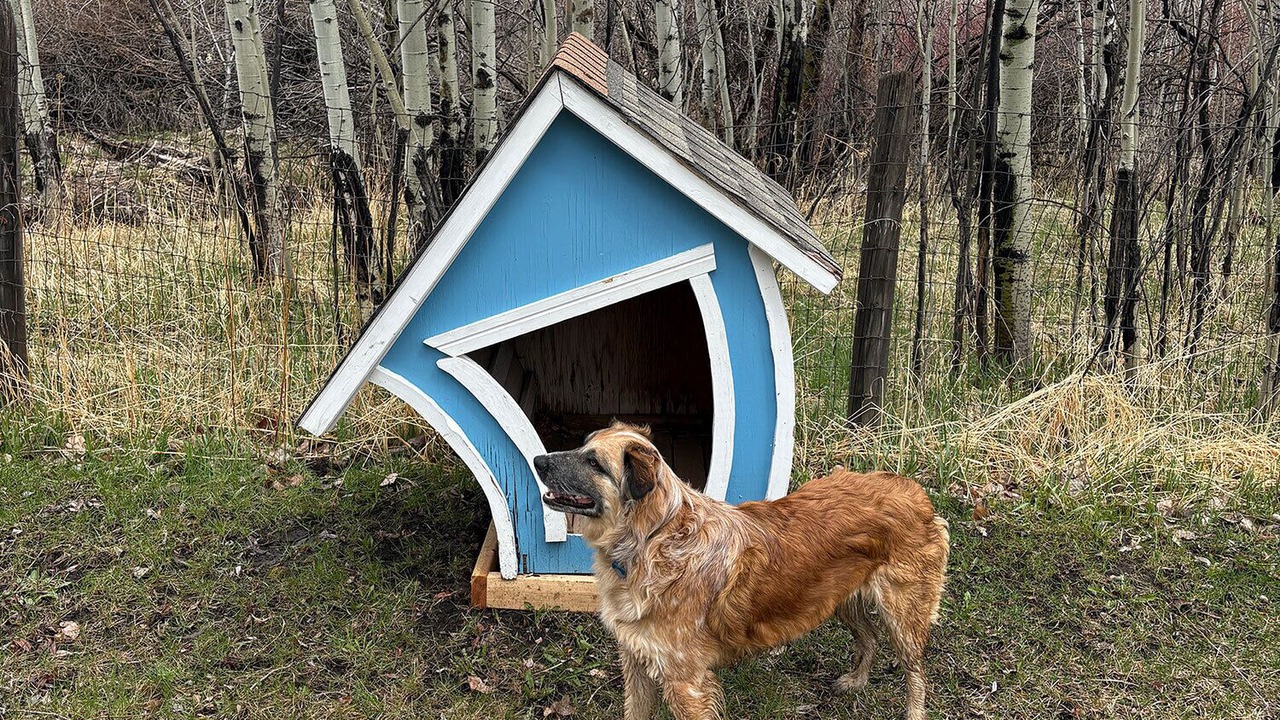 Photo of Outdoor in Pony