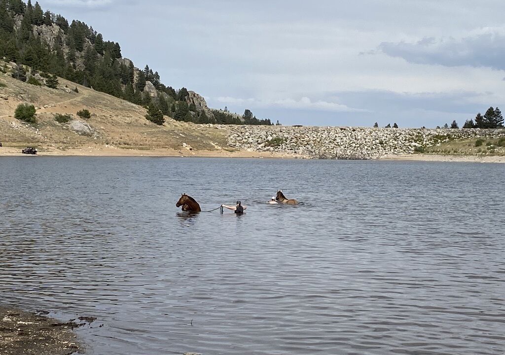 Photo of Outdoor in Pony