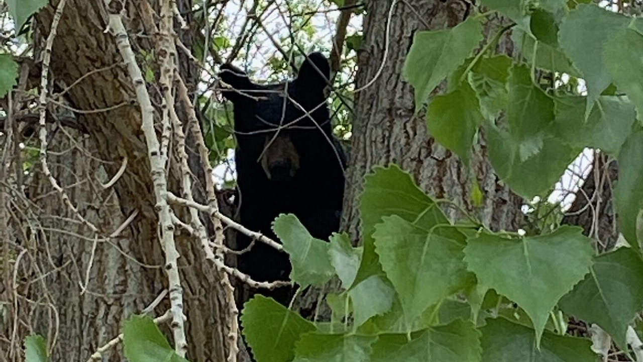 Photo of Outdoor in Cascade