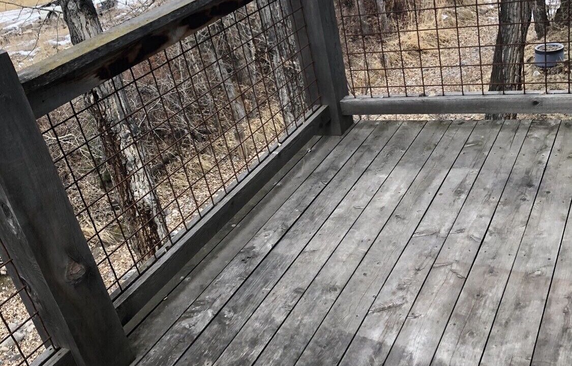 Photo of Outdoor in Four Corners