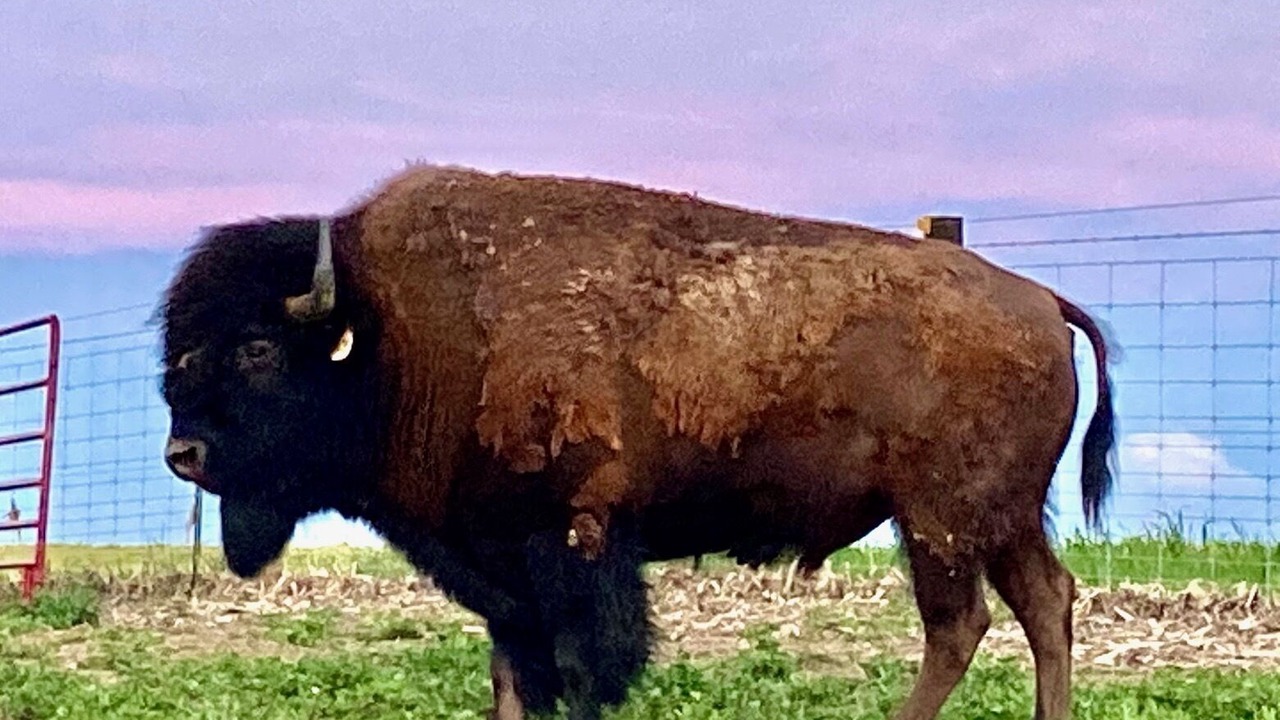Photo of Others in Poweshiek County