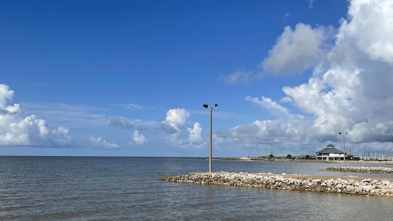 Photo of Others in Palacios