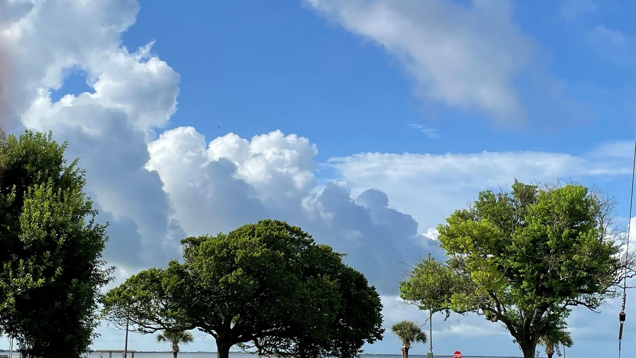 Photo of Outdoor in Palacios