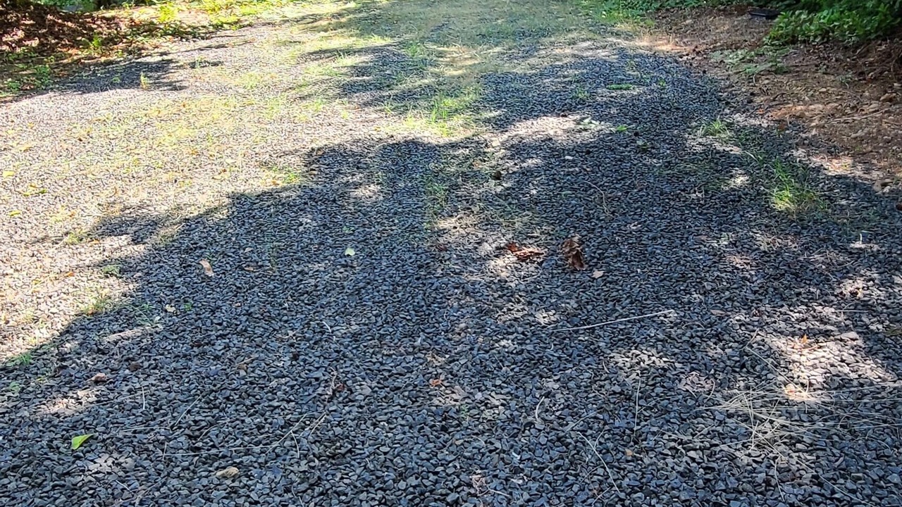 Photo of Outdoor in Hamma Hamma