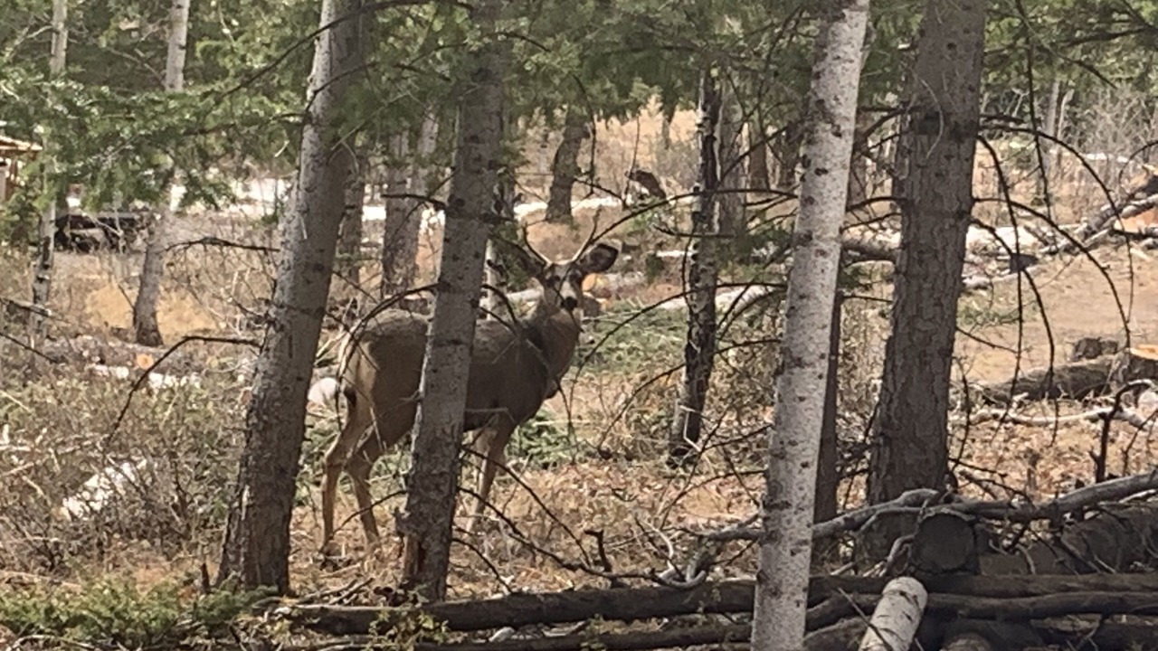 Photo of Others in Dubois