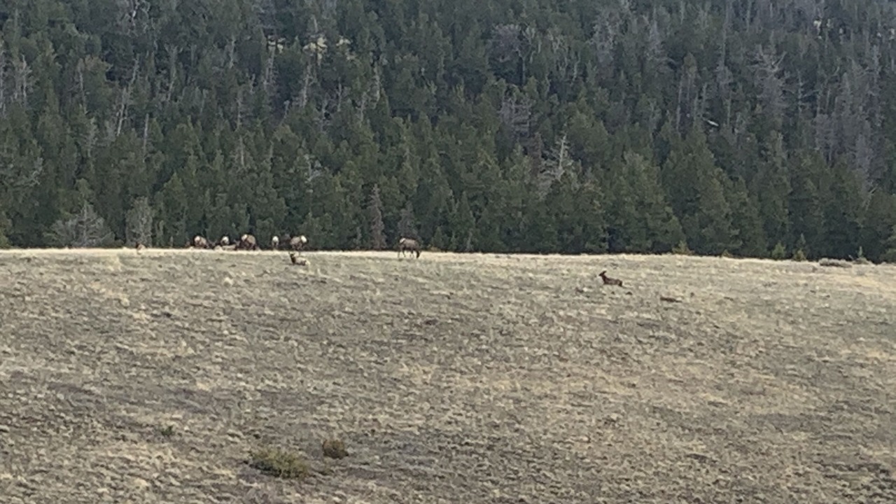 Photo of Others in Dubois