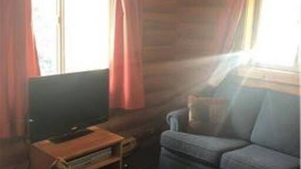 Photo of Livingroom in Driggs