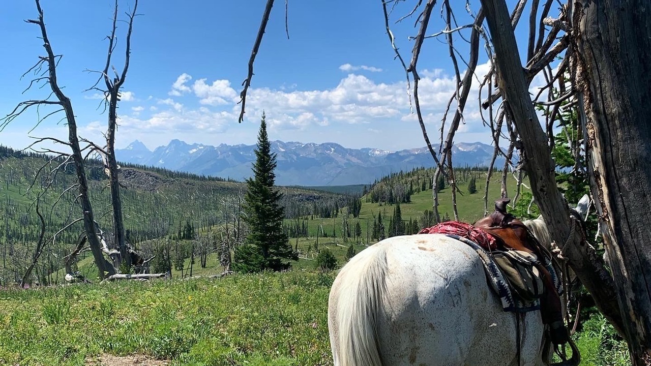 Photo of Others in Flagg Ranch