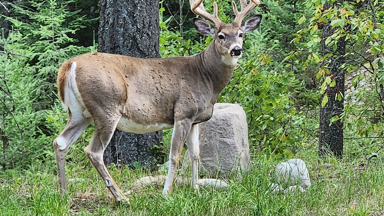 Photo of Others in Kalispell