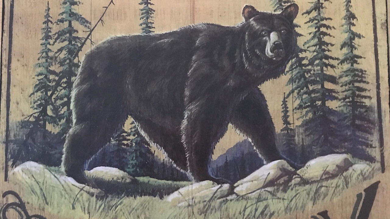Photo of Others in Kalispell