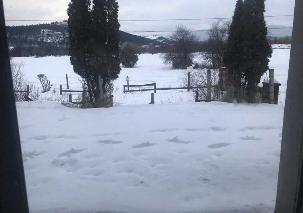Photo of Others in Kalispell