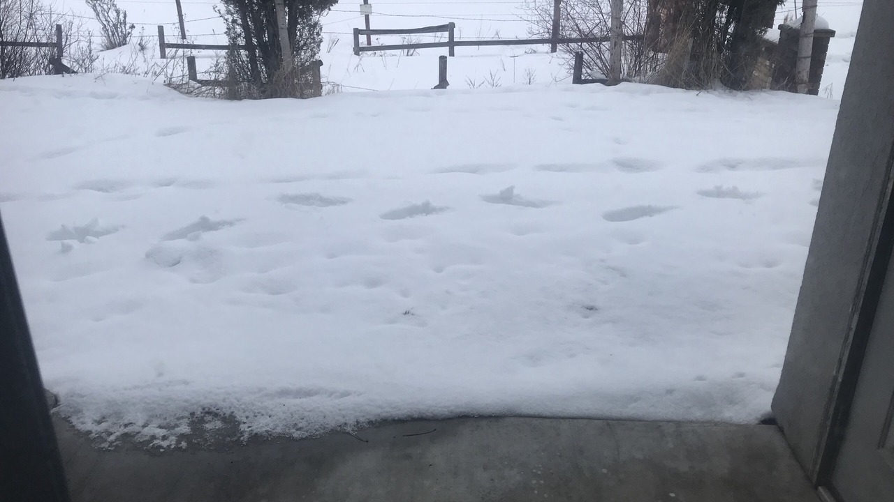 Photo of Outdoor in Kalispell