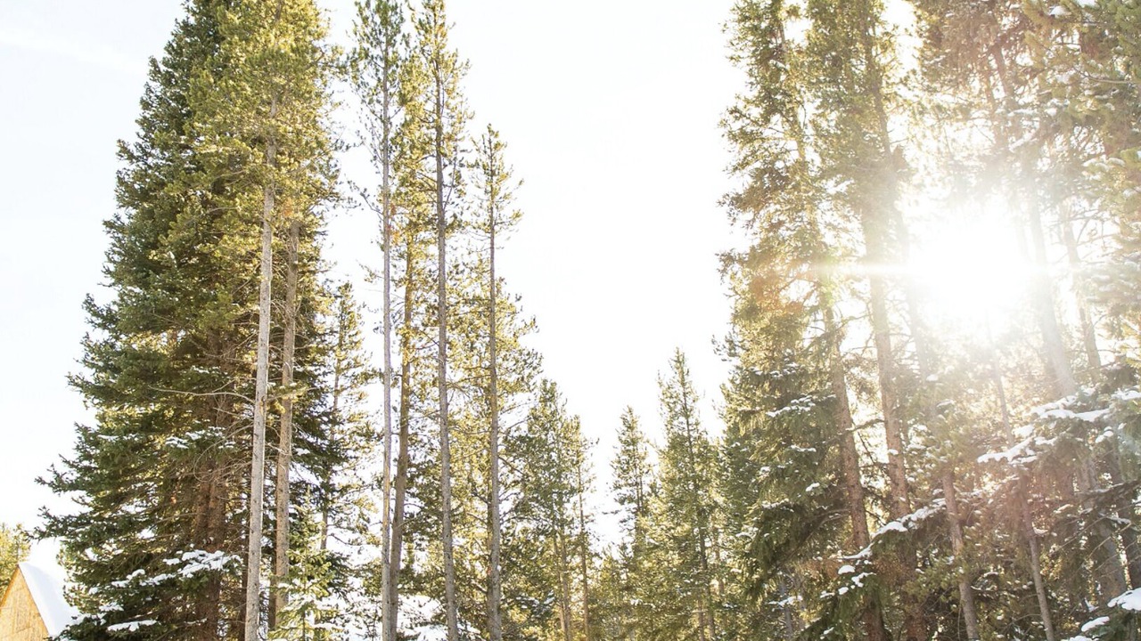 Photo of Others in Baldy Mountain