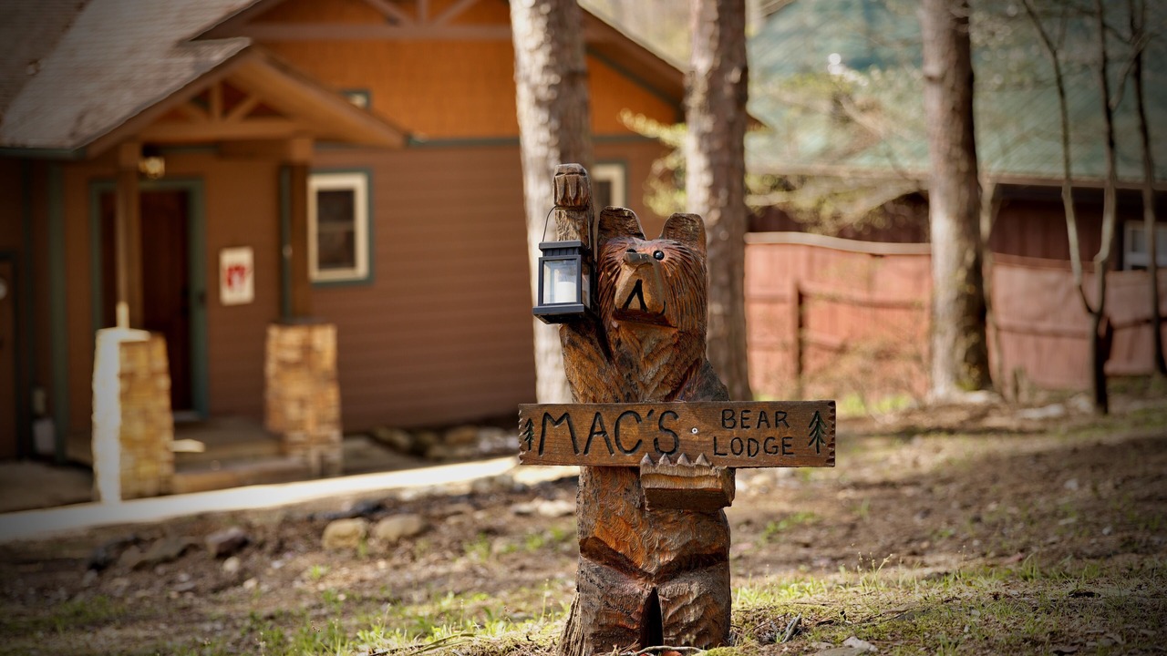 Photo of Outdoor in Piney