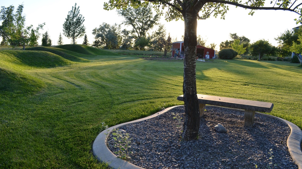 Photo of Outdoor in Byron