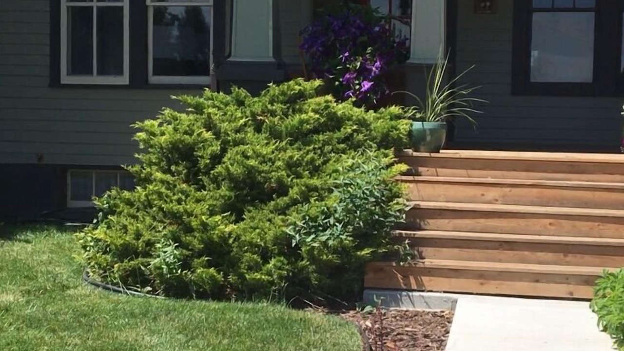 Photo of Outdoor in Buffalo