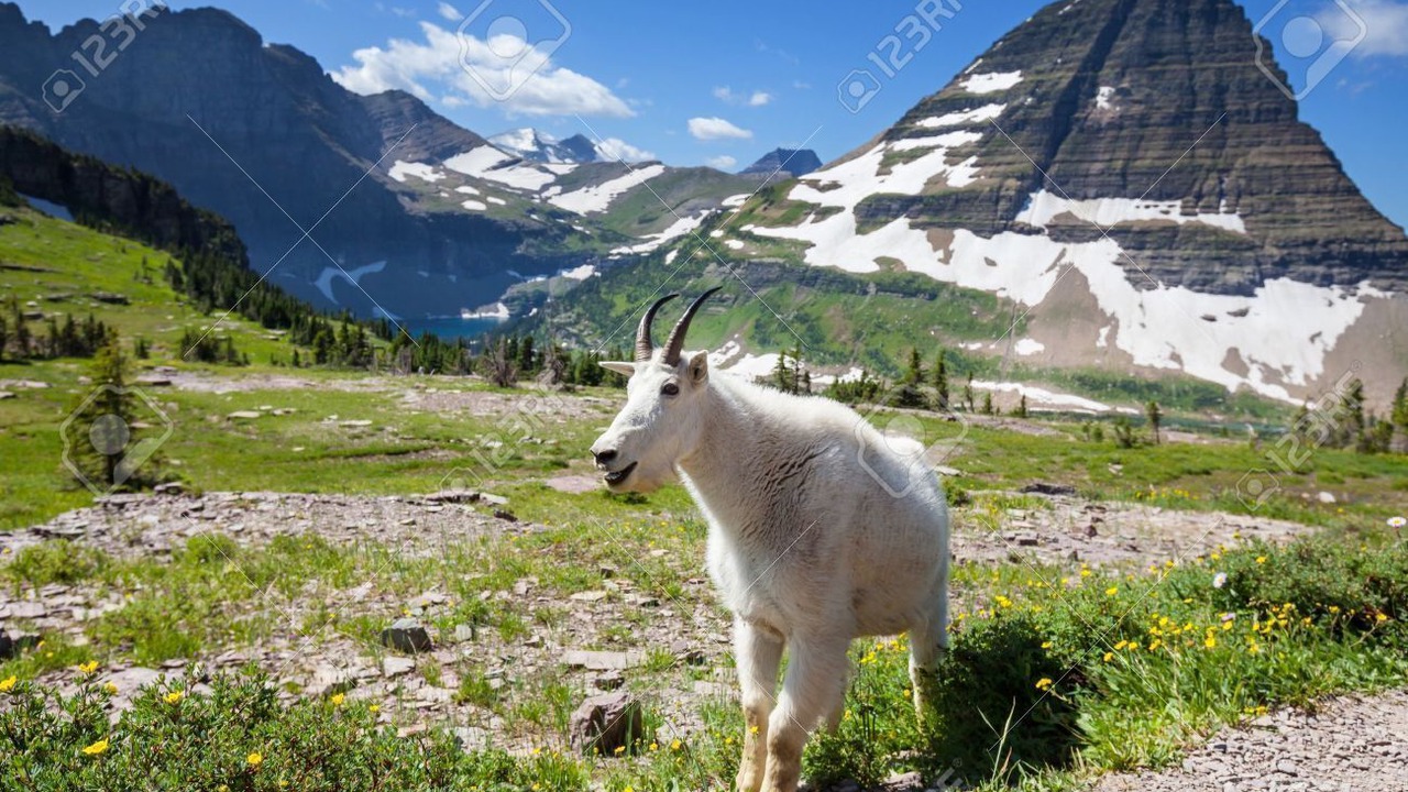 Photo of Others in Somers