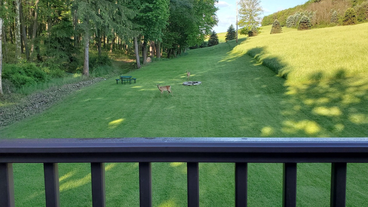 Photo of Outdoor in Ringgold