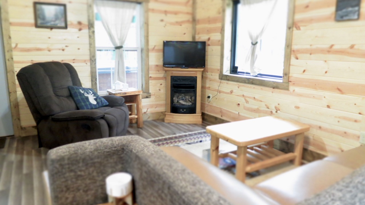 Photo of Livingroom in Nelsonville