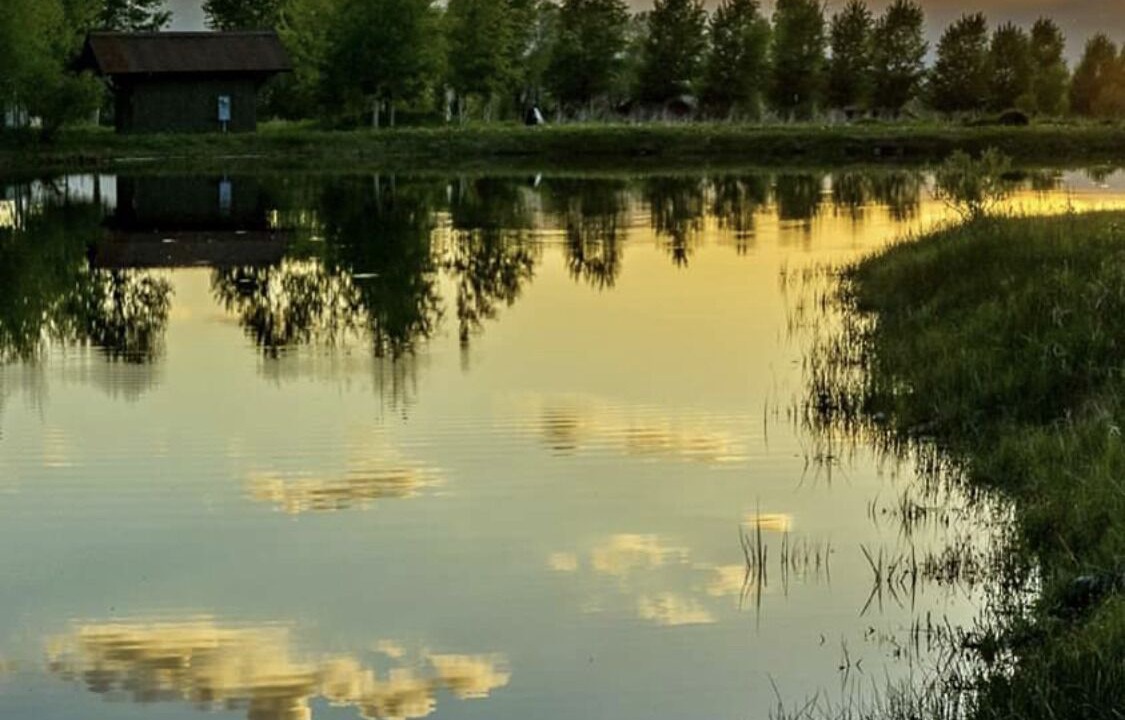 Photo of Outdoor in Victor