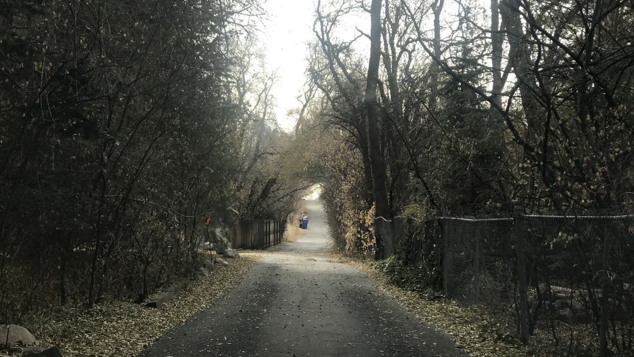 Photo of Others in Cottonwood Heights