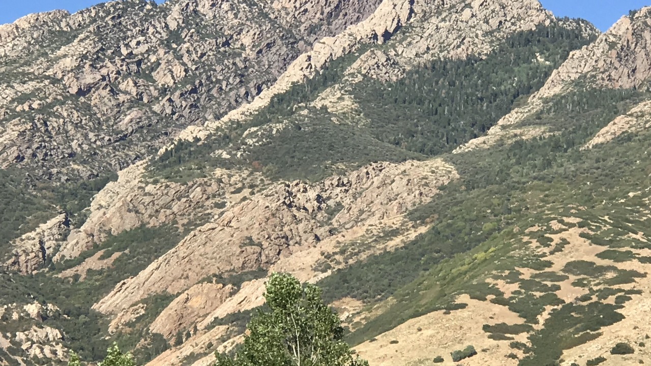 Photo of Others in Cottonwood Heights