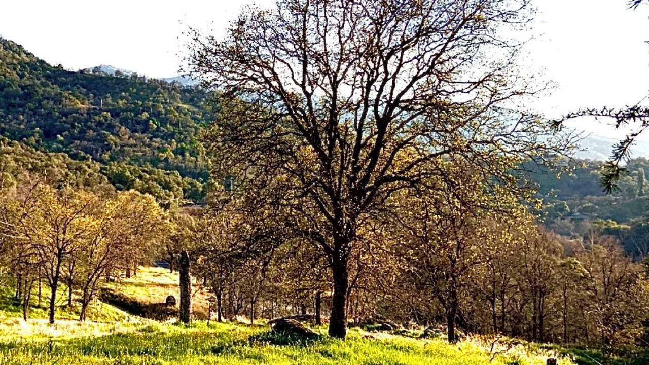 Photo of Outdoor in Three Rivers