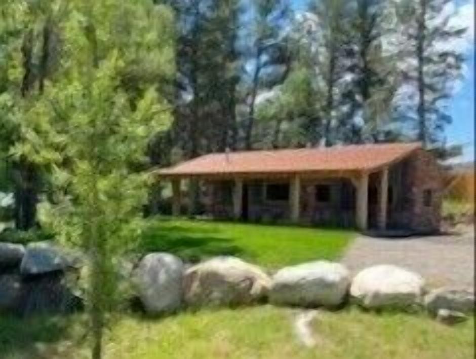 Photo of Outdoor in Saddlestring