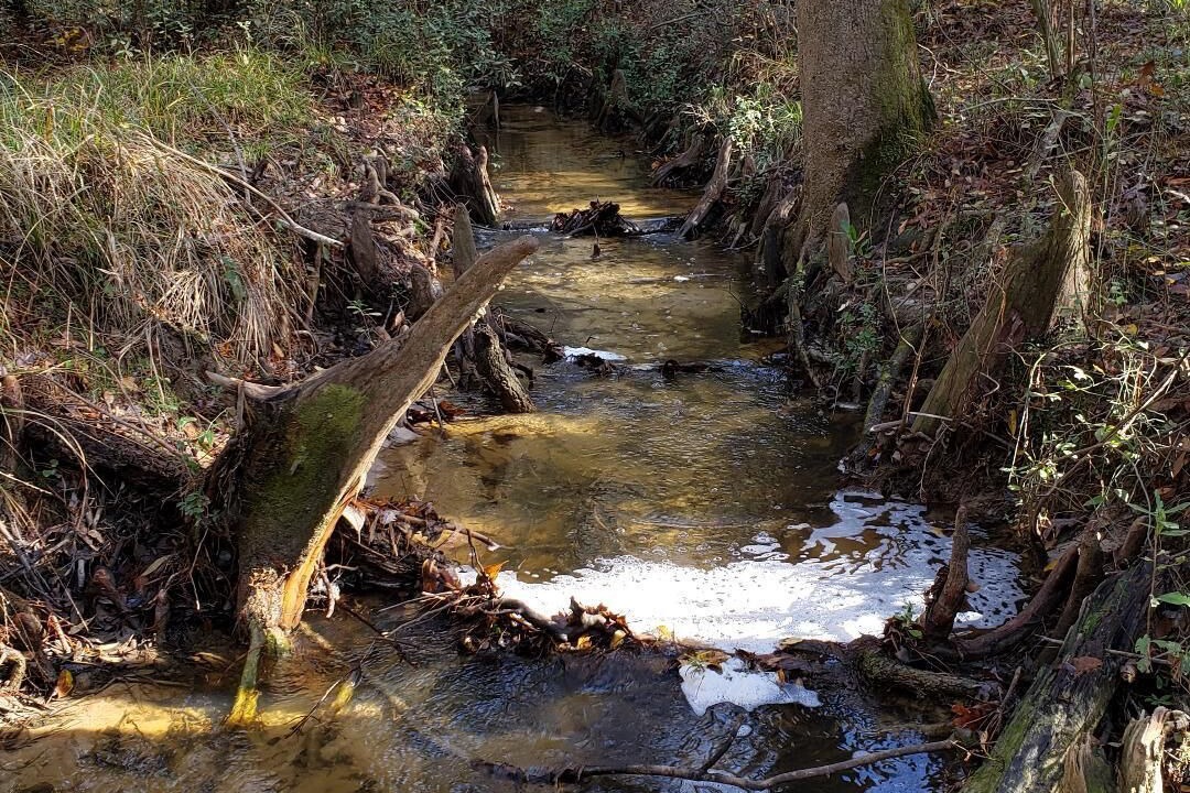 Photo of Outdoor in Stone County