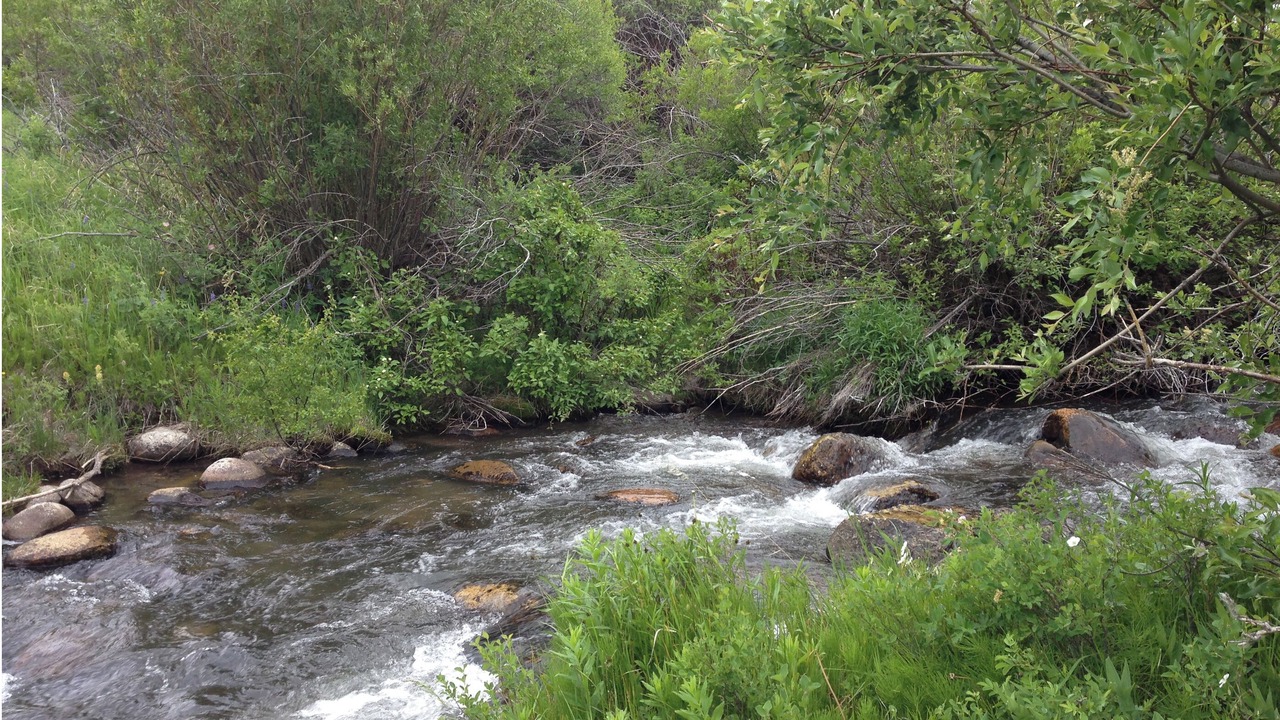 Photo of Outdoor in Cameron