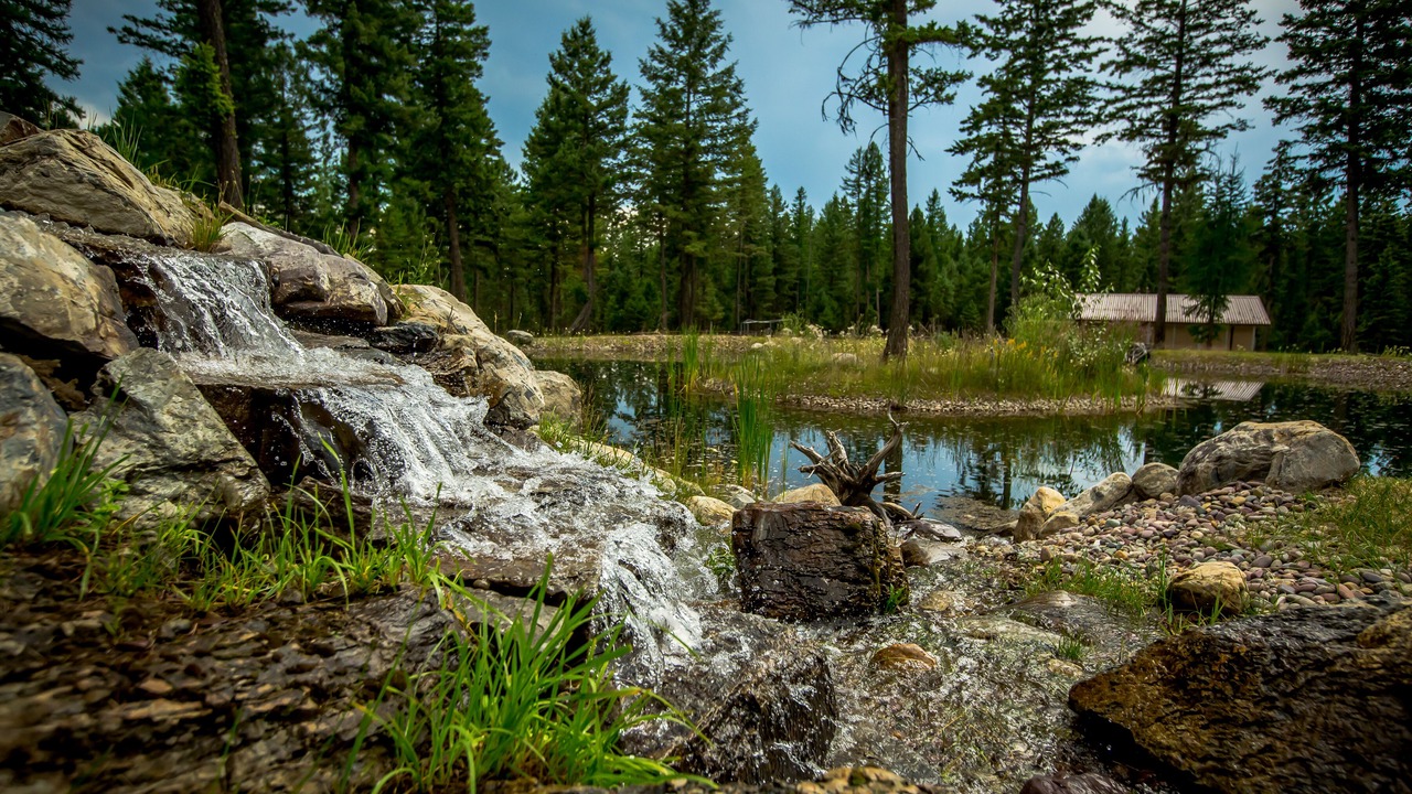 Photo of Outdoor in Whitefish
