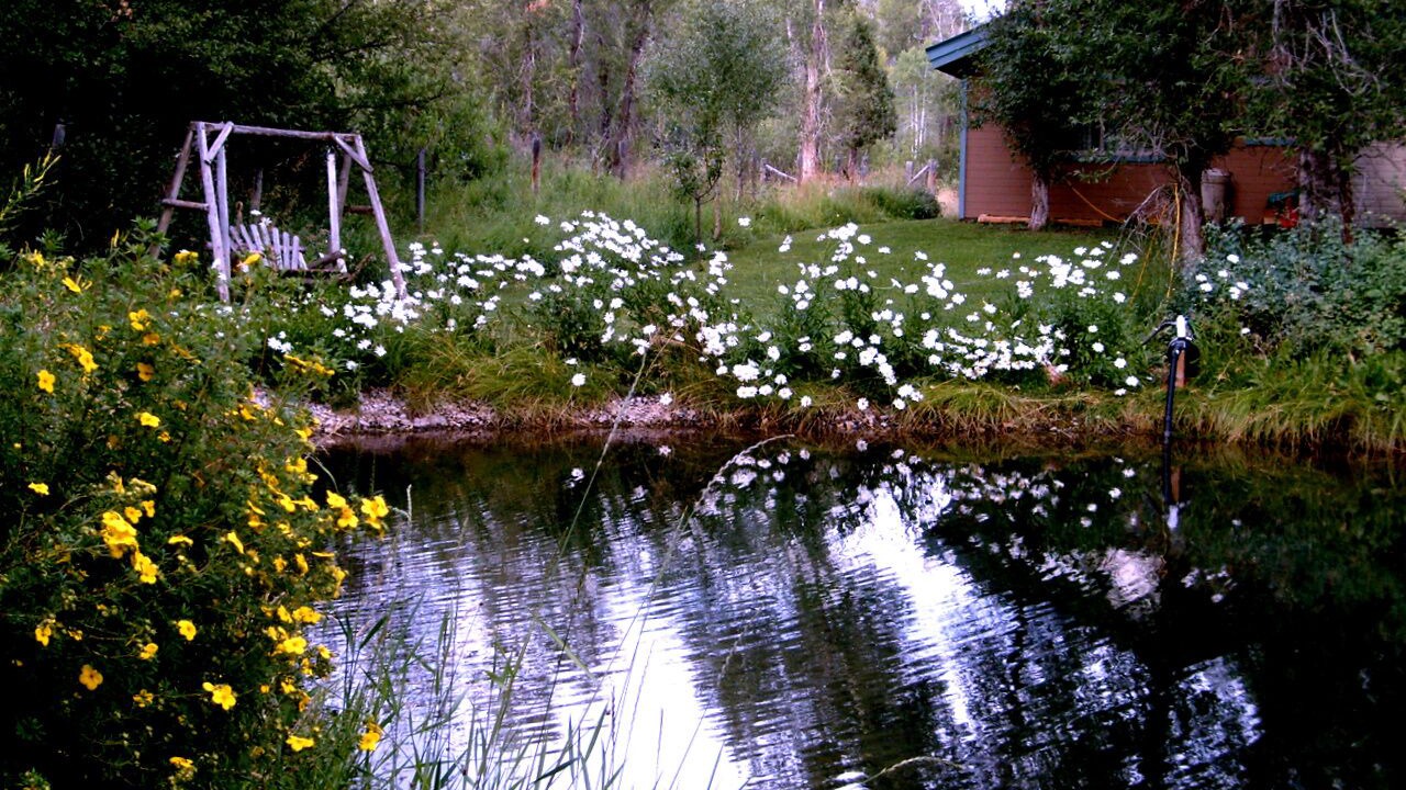 Photo of Outdoor in Bedford