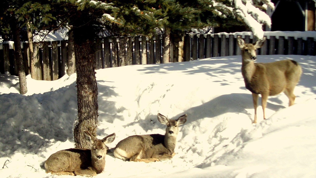 Photo of Outdoor in Bedford